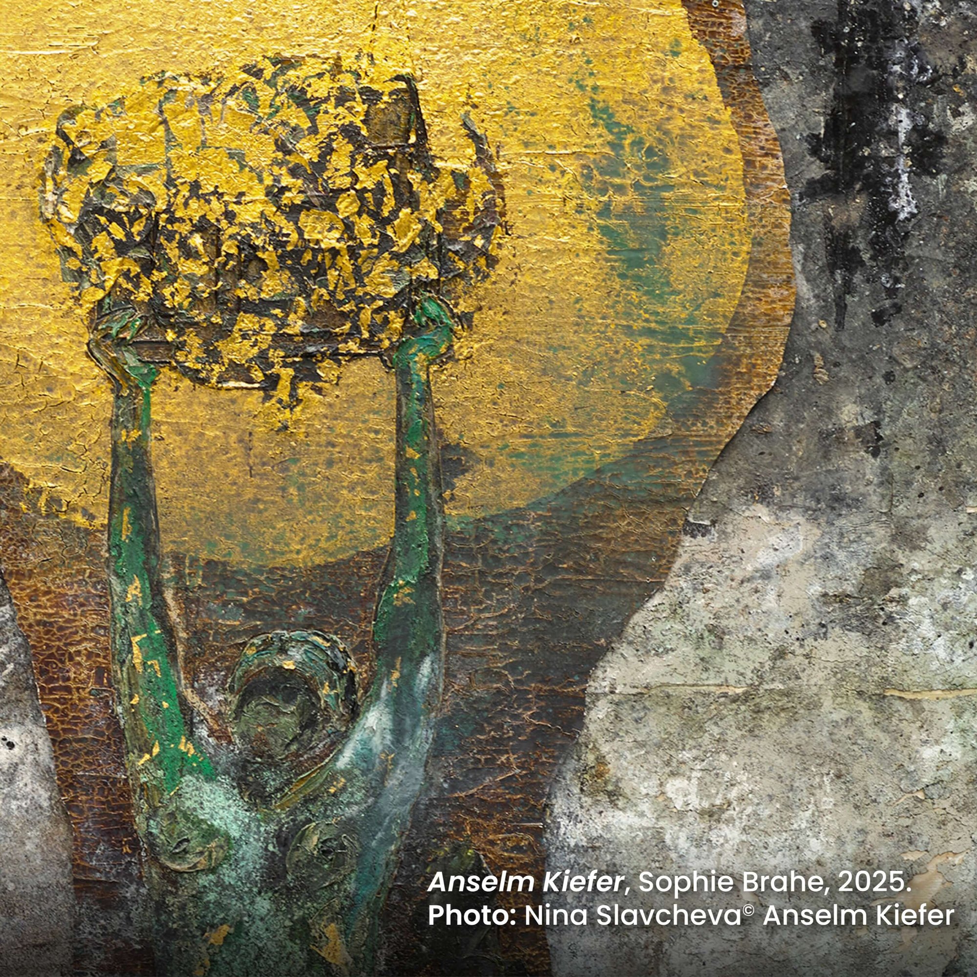 UniSR_Mostra Anselm Kiefer