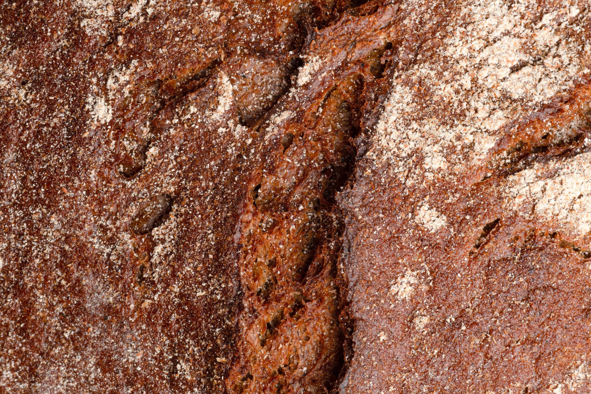 Filosofia culture ed ecologie del cibo